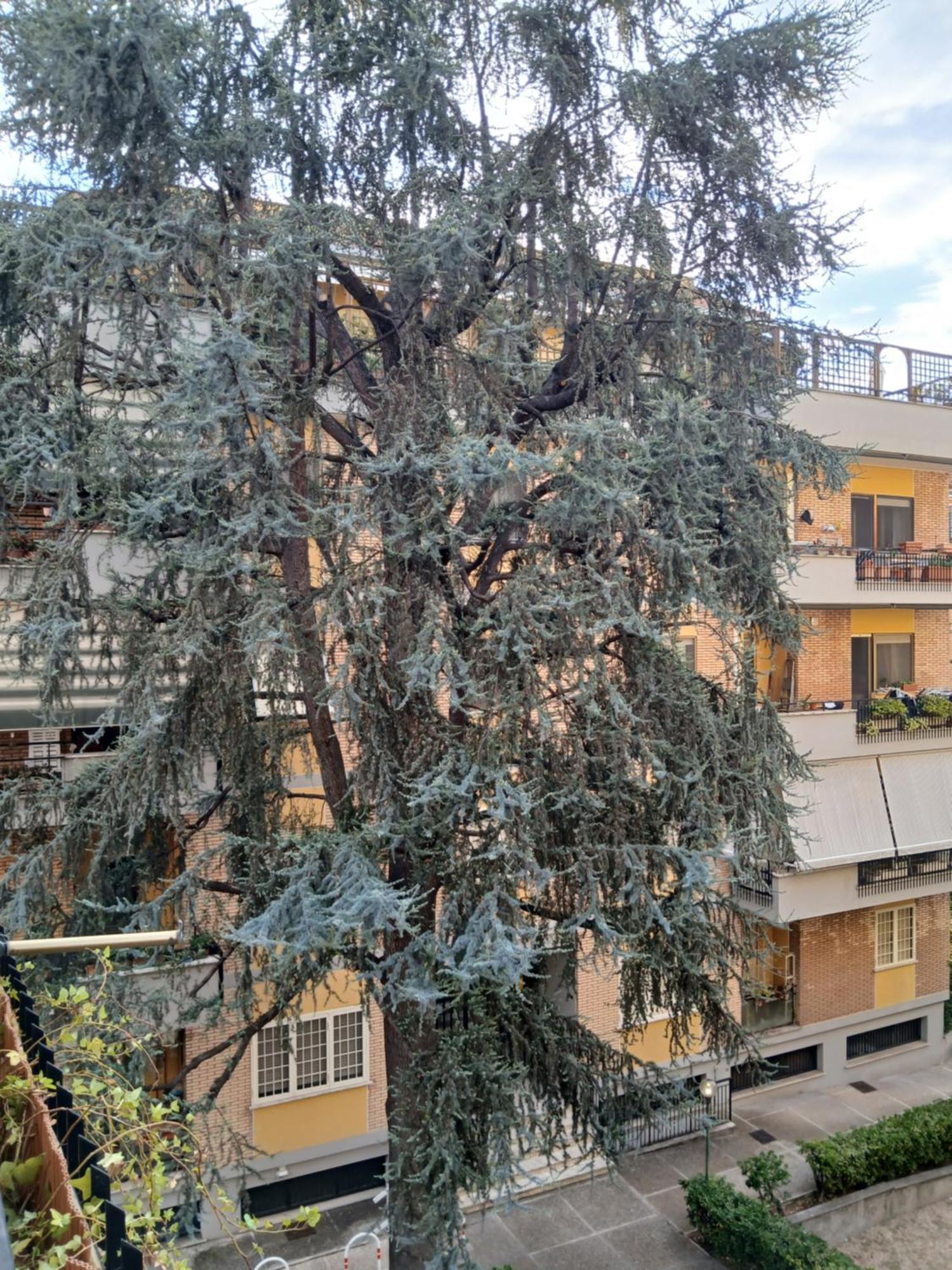 La Casa Di Antonella E Giuseppe Apartamento Roma Exterior foto
