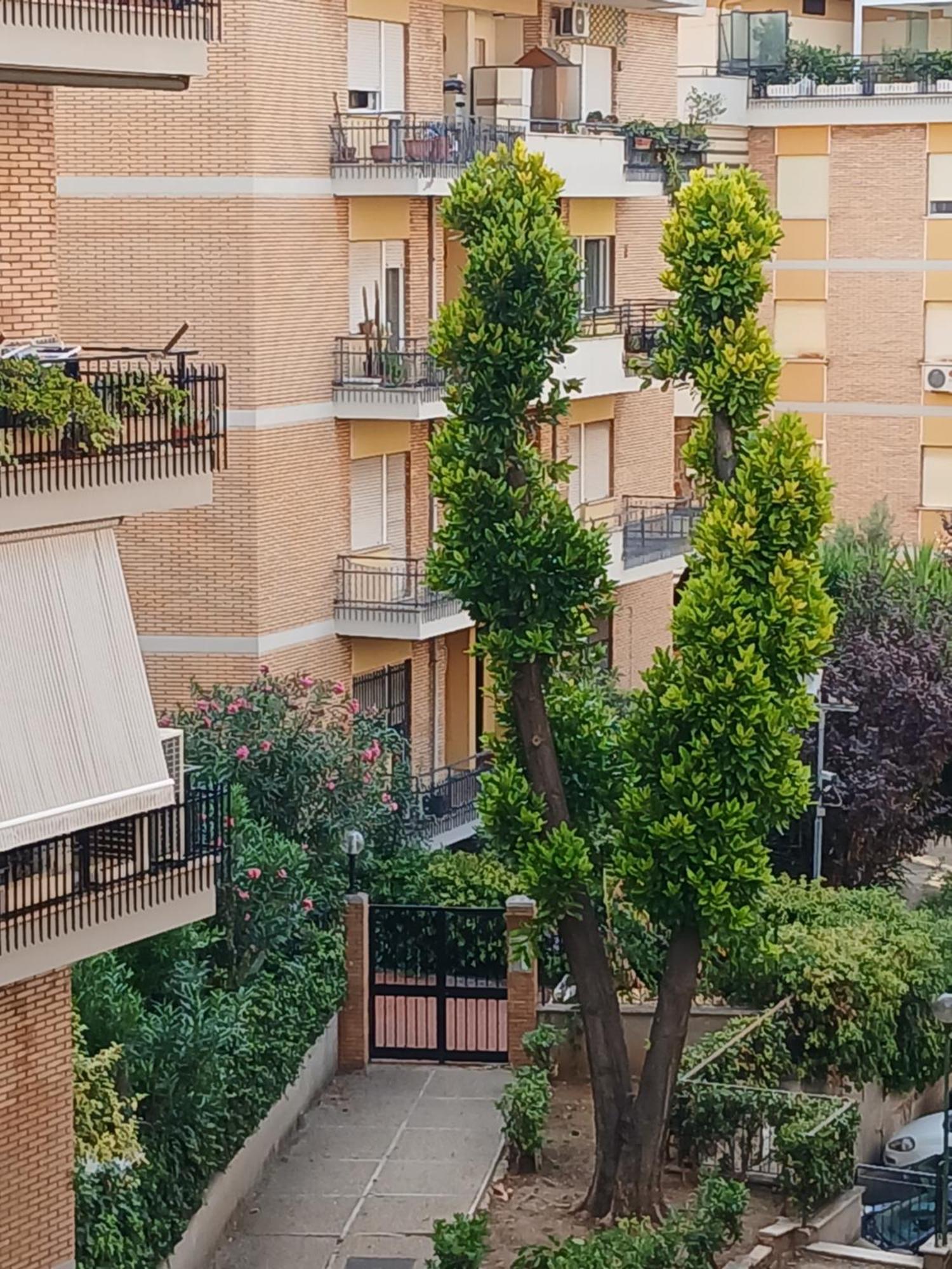La Casa Di Antonella E Giuseppe Apartamento Roma Exterior foto